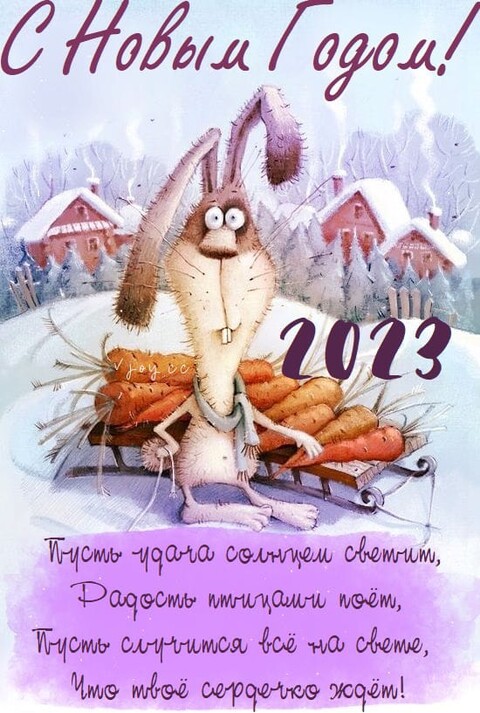 С новым 2023 годом.jpg