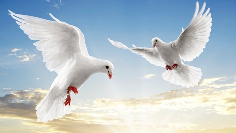Оригинал 1920x1080 (17).jpg
