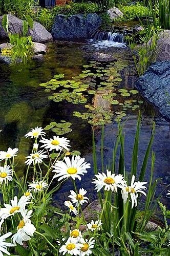 image (36).jpg