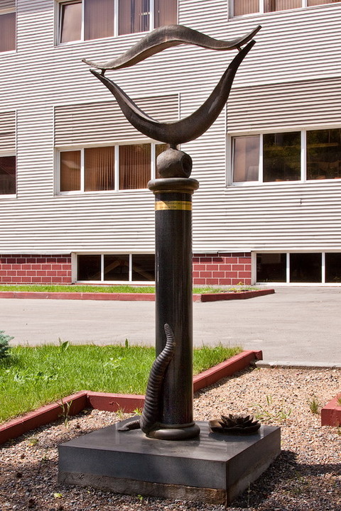 3467843560.jpg