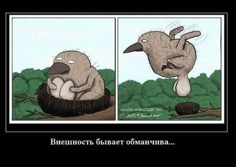 chatrix_665496.jpg