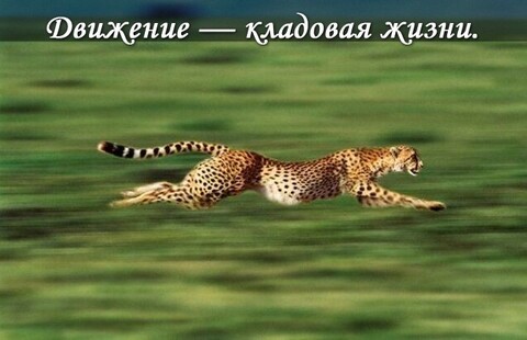 53DF6E5D-5BC8-4A80-AF1E-C7E5FDF3720A.jpg
