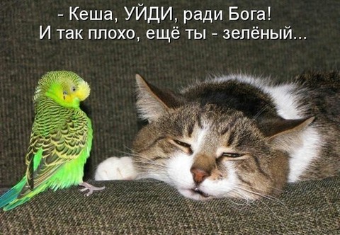 0145.jpg
