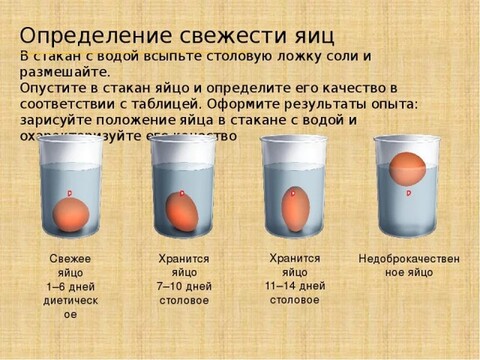 4jQlf9zBln4.jpg