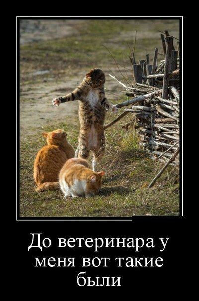 IMG-20171126-WA0006.jpg