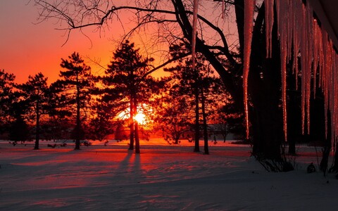 30311-priroda derevya sneg zakat nature trees snow sunset.jpg