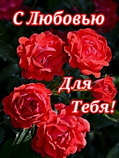 любовь.jpg