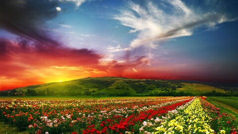 blossom-5120x2880-landscape-sunset-scenery-flowers-hd-5k-3556.jpg