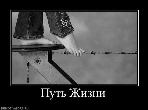 x_2a789f37.jpg