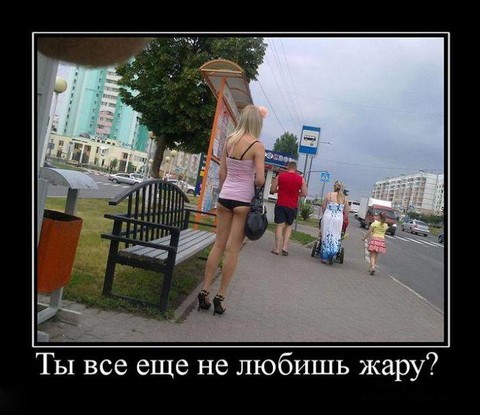 демо 01.jpg