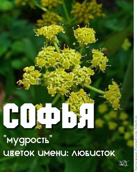 8dbe564595981a4bbd981a3075c61daa.jpg