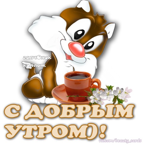 bpDpIEJRzLk.jpg
