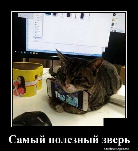 IMG 20190306 071413 130.jpg