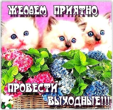 Желаю приятно провести Выходные.jpg