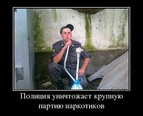 д.jpg