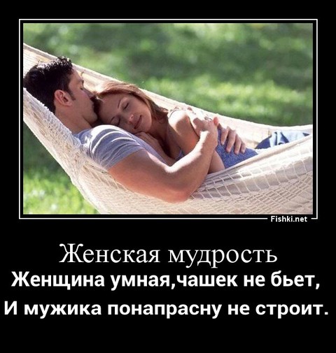 дм.jpg
