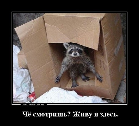 Дм.jpg