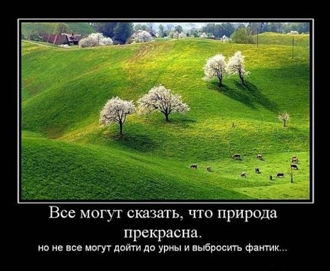 20180418 122026.jpg