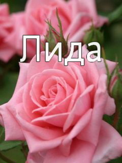 Лида Роза.jpg