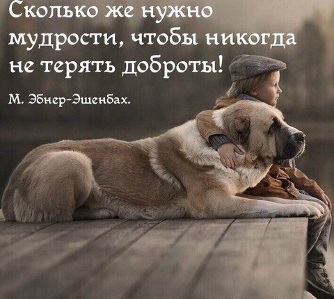Слова.jpg
