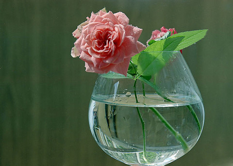 image (18).jpg