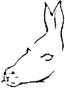 Osjol_tyulen.gif