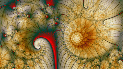 uzor-fraktal-cvet-spiral.jpg