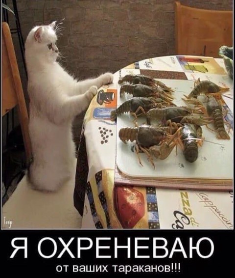 Прикол-Юмор.jpg