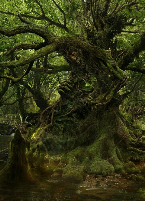 The Green Man Awakens.jpg
