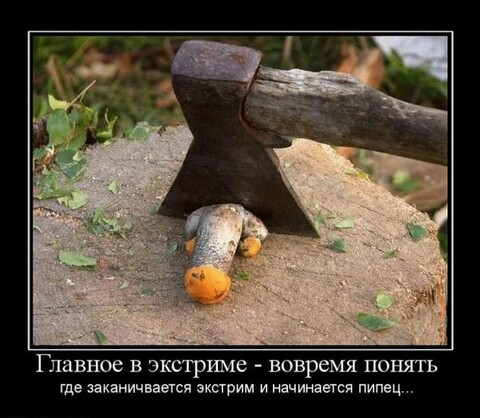 1609676767628 grib-piska-dem-11.jpg