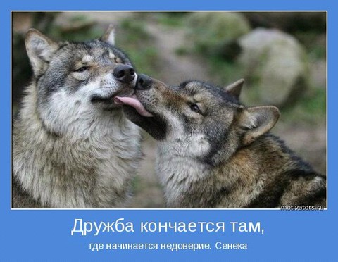 Дружба кончается там.jpg