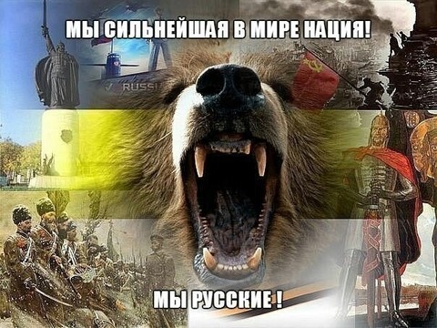 2650.jpg