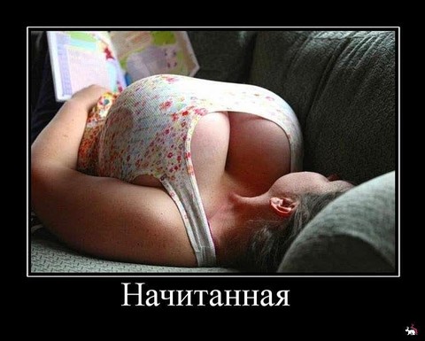 Дм.jpg
