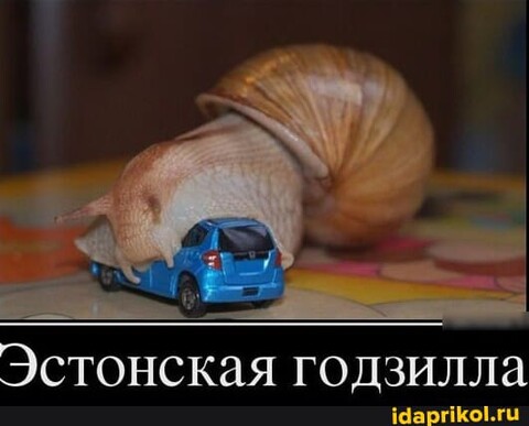 57B1C2BD-E053-4B5A-99A9-32B2A7D075BA.jpg