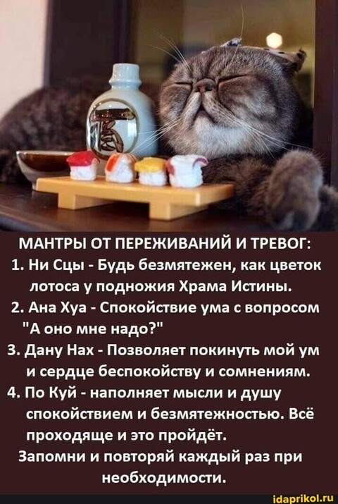 A58B8448-3336-4150-A98E-E81FFCF1D02C.jpg