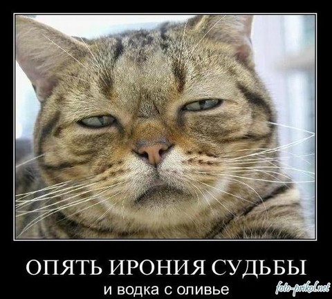 20180418 122140.jpg