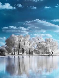 beautiful_nature.jpg