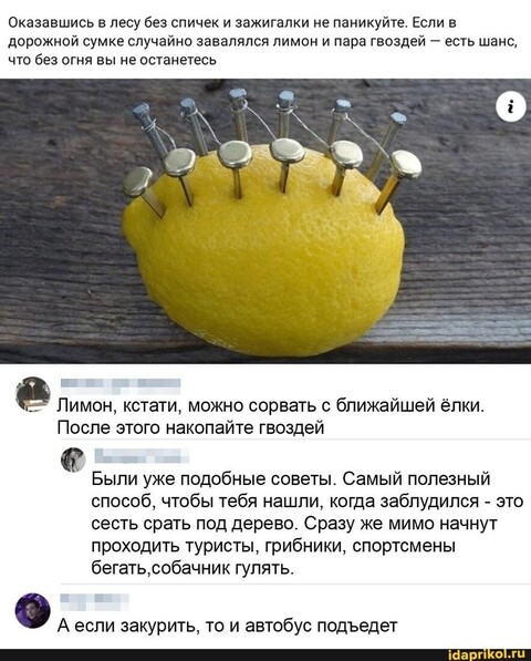 image (77).jpg