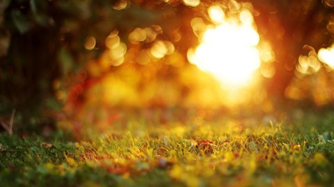 ComputerDesktopWallpapersCollection1276 029.jpg