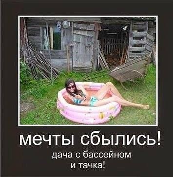 демо 18.jpg