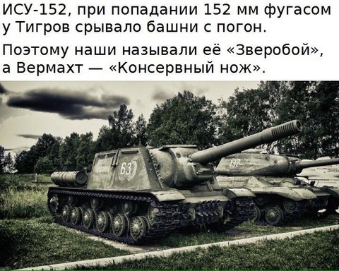 2558530752.jpg