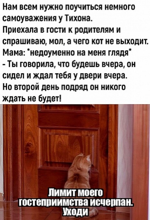 cd3c1fe3-b714-467b-bb7c-6694b278f158.jpg