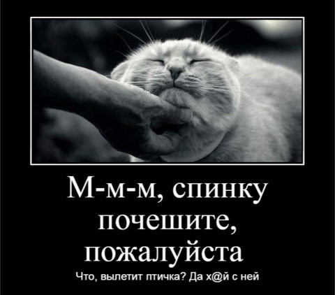 dem 5b72164a40d20.png