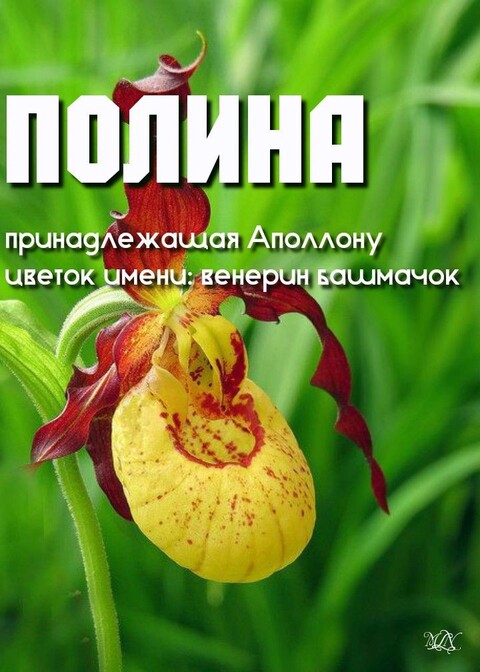 5221de5cbfc820495166231646156547.jpg