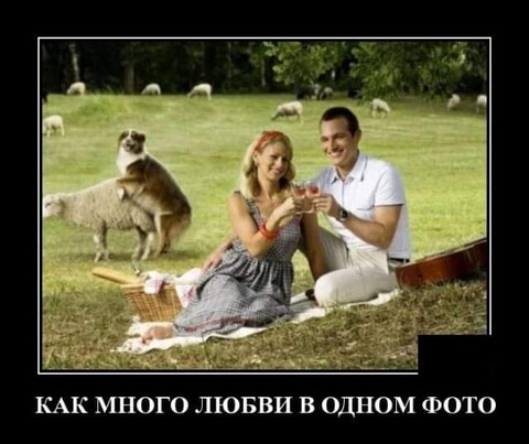 JZYN3597.jpg