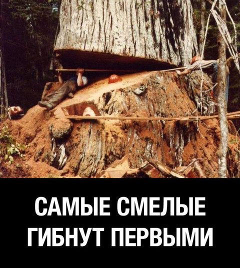8b6c356aa2 1.jpg