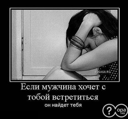20180418 121830.jpg