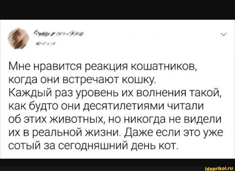 IMG-20221225-WA0113.jpg