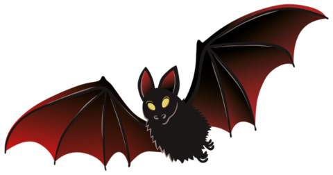 117283913 5663931 Bat PNG Clipart.png