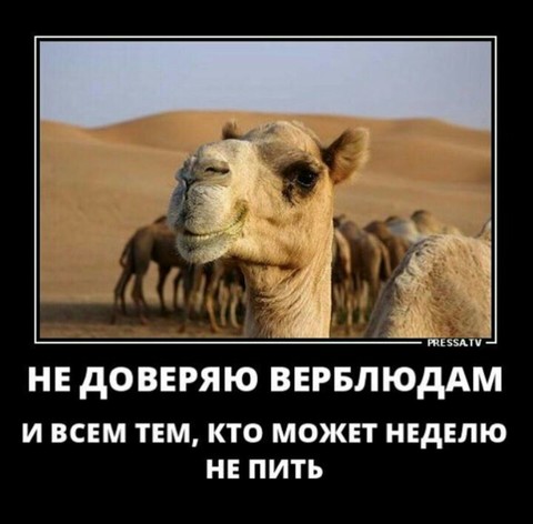 IMG-20171228-WA0004.jpg